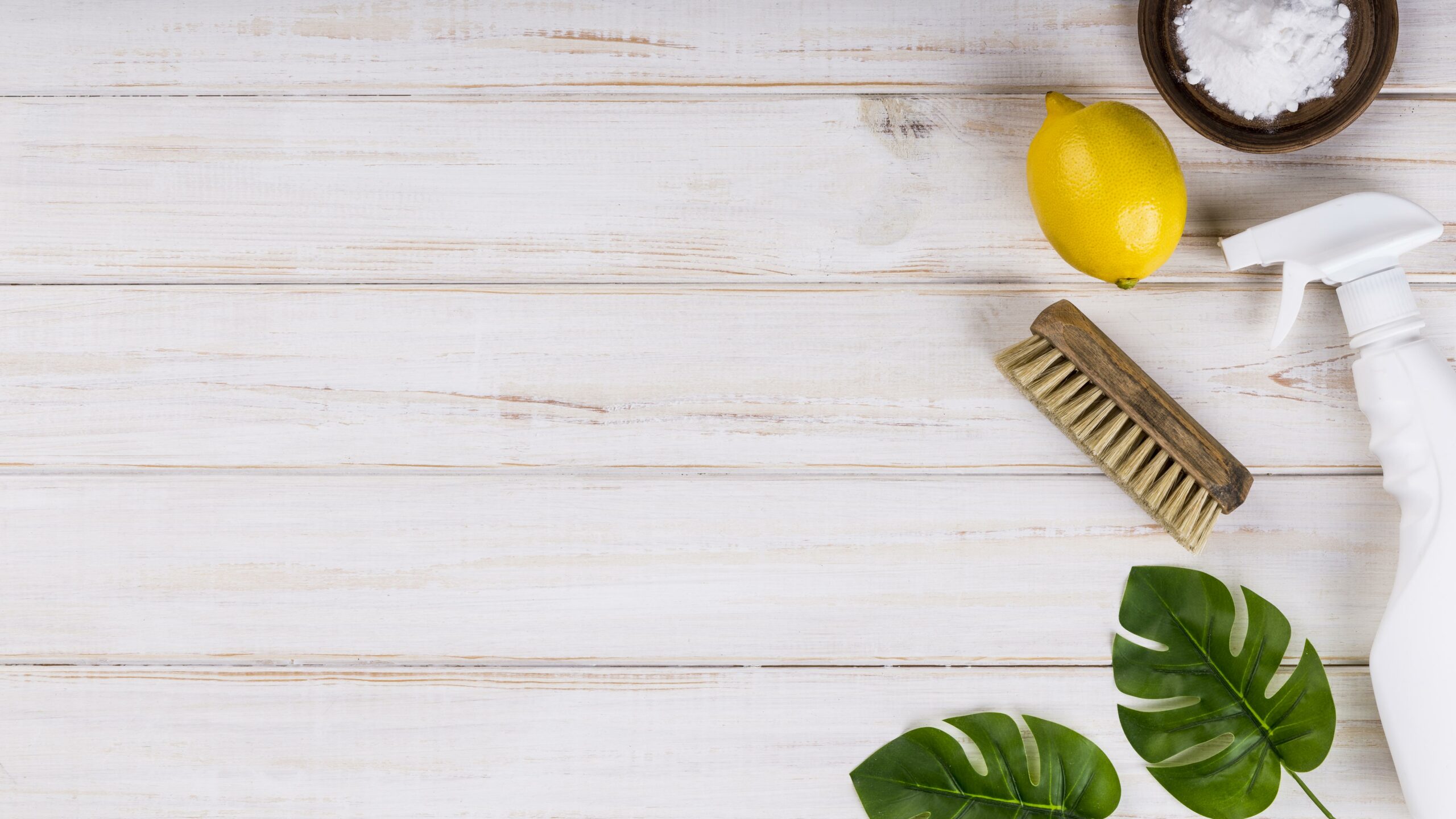 nettoyants-ecologiques-maison-feuilles-monstera-citron-scaled